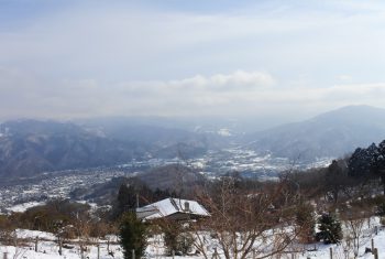 関東 山ハレ鳥トケ