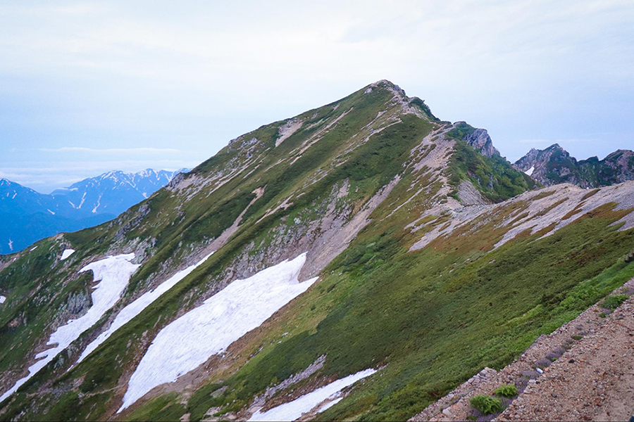 【唐松岳・登山】北アルプス初心者も挑戦しやすい花と絶景の山！ゴンドラ・リフトでアクセスする1泊2日の山旅