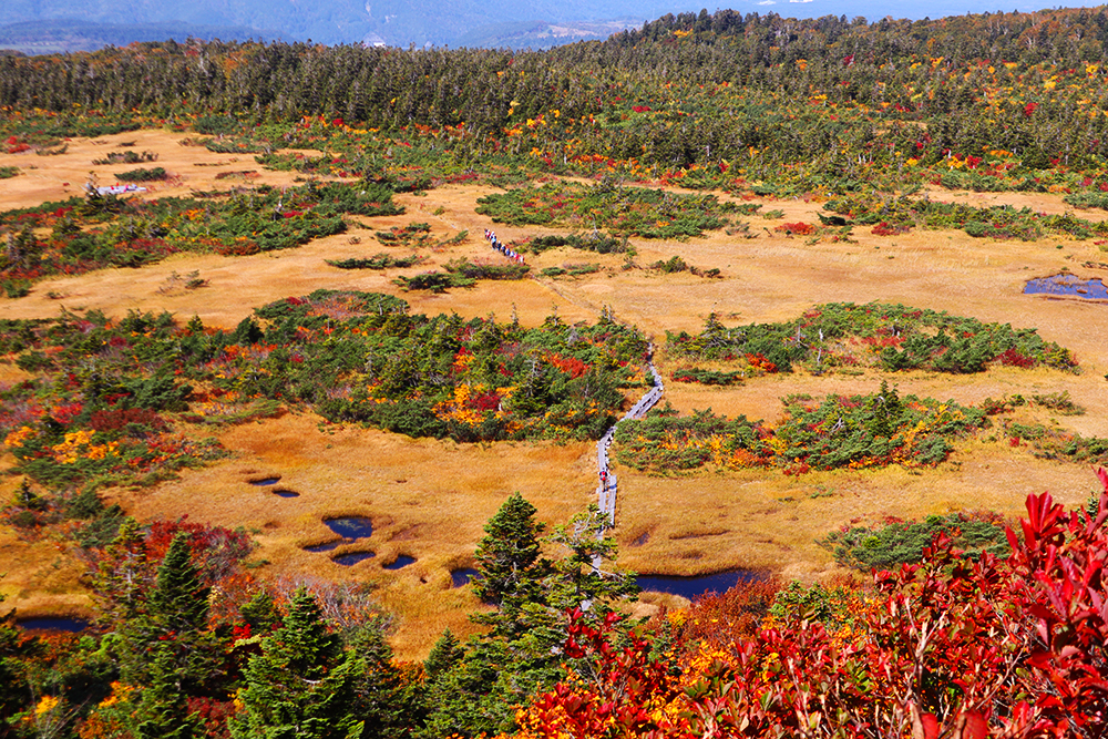 【八甲田山・青森】紅葉が綺麗な山へ！温泉とトレッキングが楽しめる東北の名山