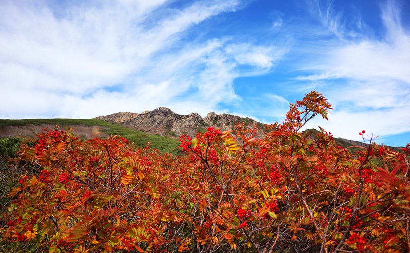 【御嶽山・登山】ロープウェイで紅葉と雲海の絶景へ！黒沢口から剣ヶ峰日帰りピストン