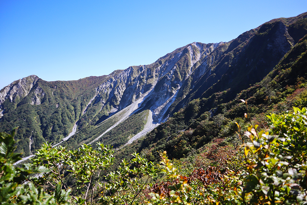 【鳥取・大山】初心者でも安心！自然と歴史満喫の夏山登山道、行者コースを歩く