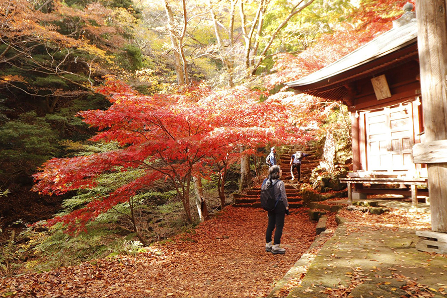 【丹沢・大山】都心からアクセス抜群！大山阿夫利神社と紅葉スポットを散策する日帰り登山