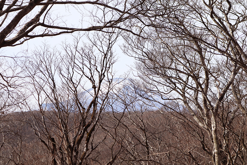 【【三国山・鉄砲木ノ頭】富士山の絶景を満喫するハイキングコース