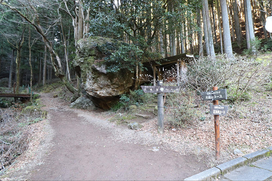 【伊豆ヶ岳】奥武蔵屈指の人気コースを歩く日帰り縦走登山