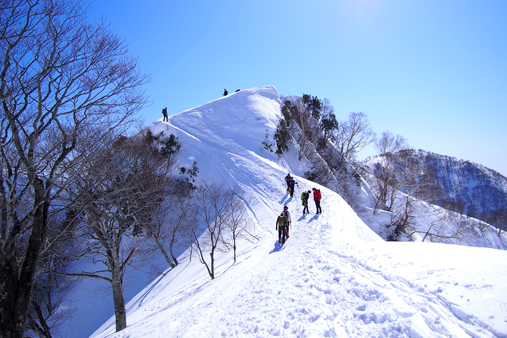 【【積雪期・谷川岳】雪山初心者におすすめ！日帰りで360度白銀の世界へ