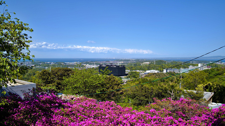 【大楠山】三浦半島を横断！海と山の360°パノラマが楽しめる低山ハイキング