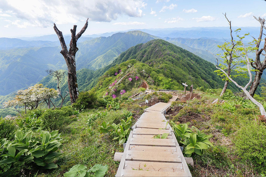 【檜洞丸】西丹沢の秘境を巡る日帰り登山！アクセスと難易度、絶景ポイントを紹介