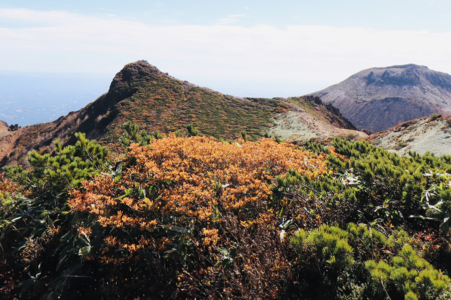 【那須岳（茶臼岳・朝日岳）】火山のダイナミックな光景と紅葉をロープウェイを利用して楽しむ日帰り登山