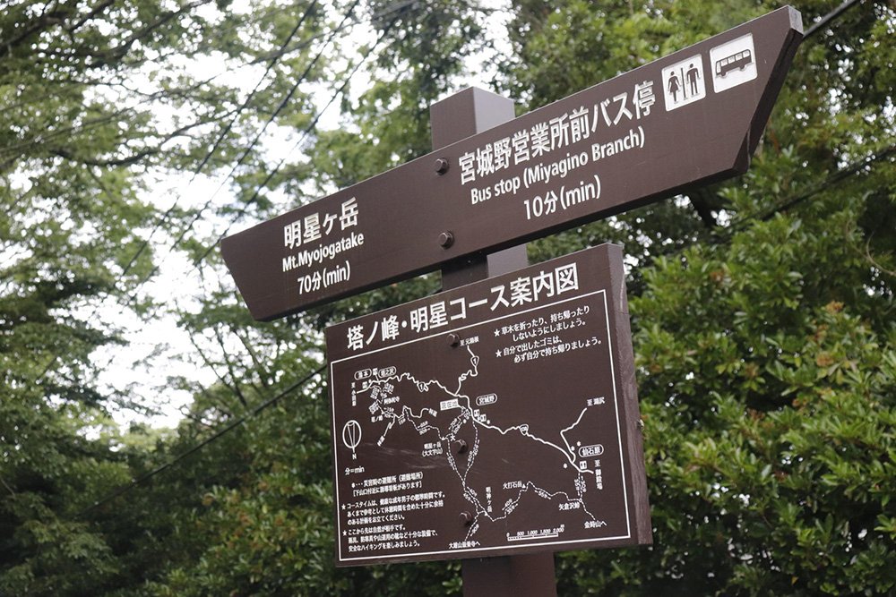 【明神ヶ岳登山】結構キツいは本当?富士山を眺めながら清々しい笹の稜線を歩く縦走登山